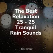 The Best Relaxation 25 - 25 Tranquil Rain Sounds