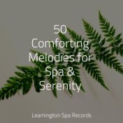 50 Comforting Melodies for Spa & Serenity