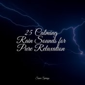 25 Calming Rain Sounds for Pure Relaxation