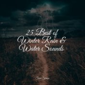 25 Best of Winter Rain & Water Sounds