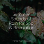 Summer Sounds of Rain for Spa & Relaxation