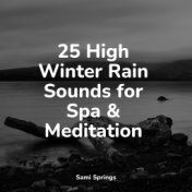 25 High Winter Rain Sounds for Spa & Meditation