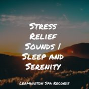 Stress Relief Sounds | Sleep and Serenity