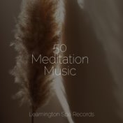 50 Meditation Music