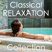 Classical Relaxation Collection