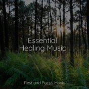Essential Healing Music