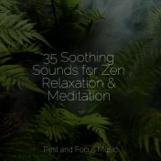 35 Soothing Sounds for Zen Relaxation & Meditation