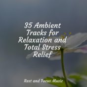 35 Ambient Tracks for Relaxation and Total Stress Relief