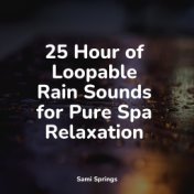 25 Hour of Loopable Rain Sounds for Pure Spa Relaxation