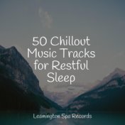 50 Chillout Music Tracks for Restful Sleep