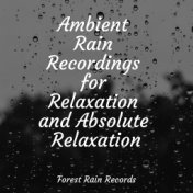 Ambient Rain Recordings for Relaxation and Absolute Relaxation