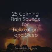 25 Calming Rain Sounds for Relaxation and Sleep