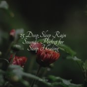 25 Deep Sleep Rain Sounds: Perfect for Sleep Healing