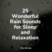 25 Wonderful Rain Sounds for Sleep and Relaxation