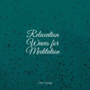 Relaxation Waves for Meditation