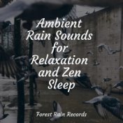 Ambient Rain Sounds for Relaxation and Zen Sleep