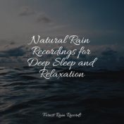 Natural Rain Recordings for Deep Sleep and Relaxation