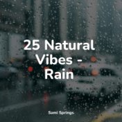 25 Natural Vibes - Rain