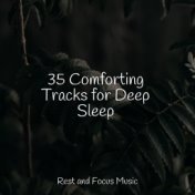 35 Comforting Tracks for Deep Sleep
