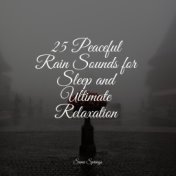 25 Peaceful Rain Sounds for Sleep and Ultimate Relaxation