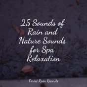 25 Sounds of Rain and Nature Sounds for Spa Relaxation