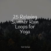 25 Relaxing Summer Rain Loops for Yoga