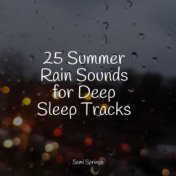 25 Summer Rain Sounds for Deep Sleep Tracks
