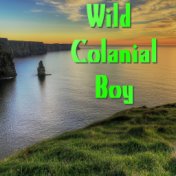 Wild Colanial Boy (Live)