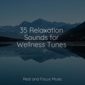 35 Relaxation Sounds for Wellness Tunes