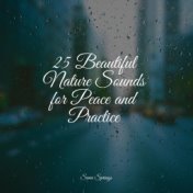 25 Beautiful Nature Sounds for Peace and Practice