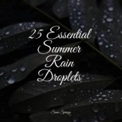 25 Essential Summer Rain Droplets