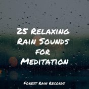 25 Relaxing Rain Sounds for Meditation