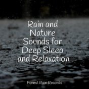 Rain and Nature Sounds for Deep Sleep and Relaxation