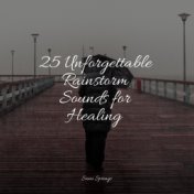 25 Unforgettable Rainstorm Sounds for Healing