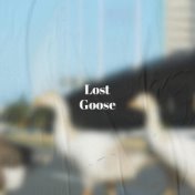 Lost Goose