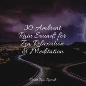 30 Ambient Rain Sounds for Zen Relaxation & Meditation