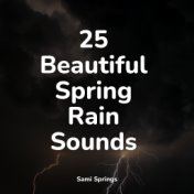 25 Beautiful Spring Rain Sounds