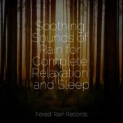 Soothing Sounds of Rain for Complete Relaxation and Sleep