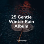 25 Gentle Winter Rain Album