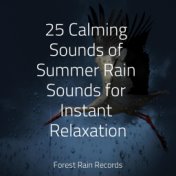 25 Calming Sounds of Summer Rain Sounds for Instant Relaxation