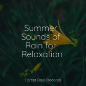 Summer Sounds of Rain for Relaxation