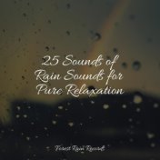 25 Sounds of Rain Sounds for Pure Relaxation