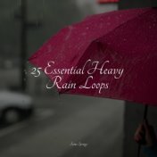 25 Essential Heavy Rain Loops