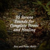 35 Serene Sounds for Complete Stress and Healing