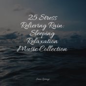 25 Stress Relieving Rain: Sleeping Relaxation Music Collection