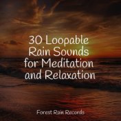 30 Loopable Rain Sounds for Meditation and Relaxation