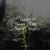 25 Winter & Summer Rain Droplet Songs