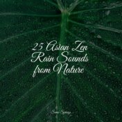 25 Asian Zen Rain Sounds from Nature