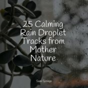25 Calming Rain Droplet Tracks from Mother Nature