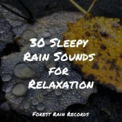 30 Sleepy Rain Sounds for Relaxation